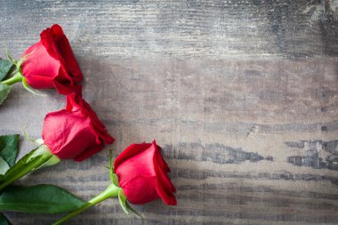 ahşap üzerine kırmızı gül