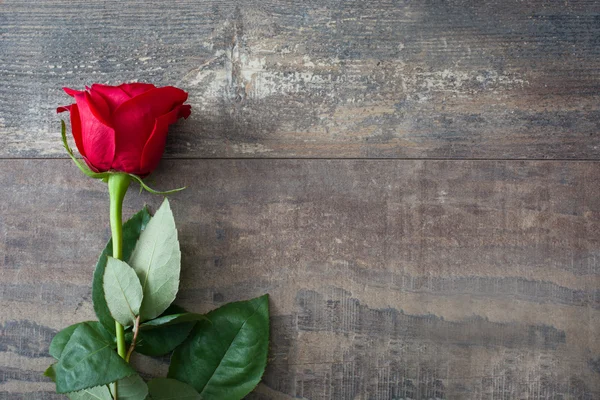 Red rose on wood