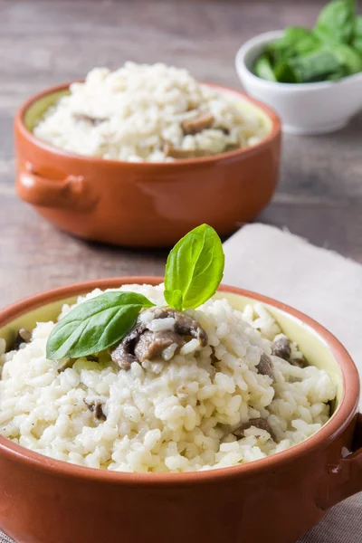 Risotto com cogumelos — Fotografia de Stock