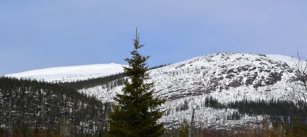 April.Mountains.Spring. — Stockfoto