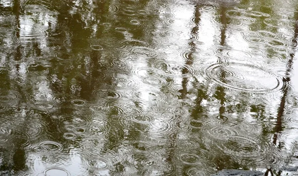 Lluvia Imágenes de stock libres de derechos