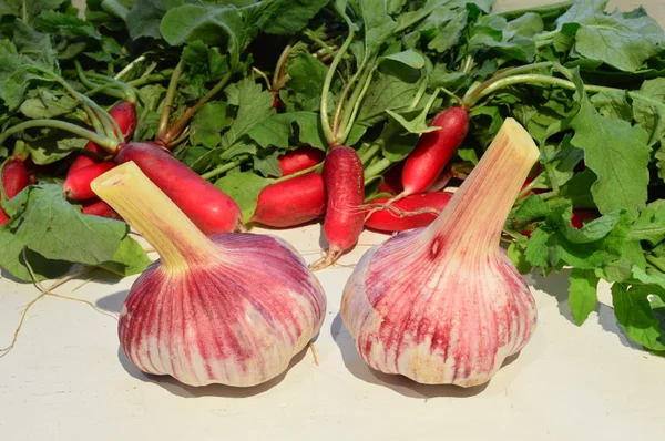 Radish and   garlic. — Stock Photo, Image