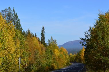 Autumn.Road kandalaksha-umba.