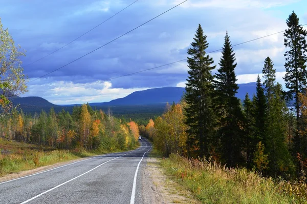 Autumn.road through forest; — Stock Photo, Image