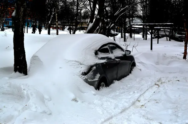 Sonra kar fırtınası. Russia.Cola Peninsula.January.2016 yıl.