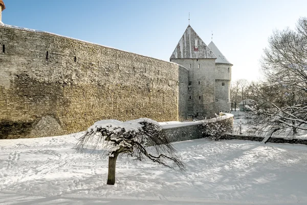 Kışın eski şehir Tallinn duvarları ve kuleleri .