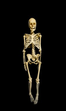 Siyah arka plan üzerine izole bir adam iskelet
