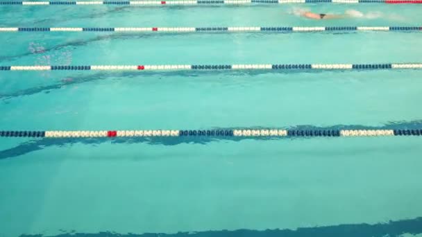 Schwimmwettbewerb im Haus der Körperkultur Hochschule für Kommunikation in St. petersburg. Russland. — Stockvideo