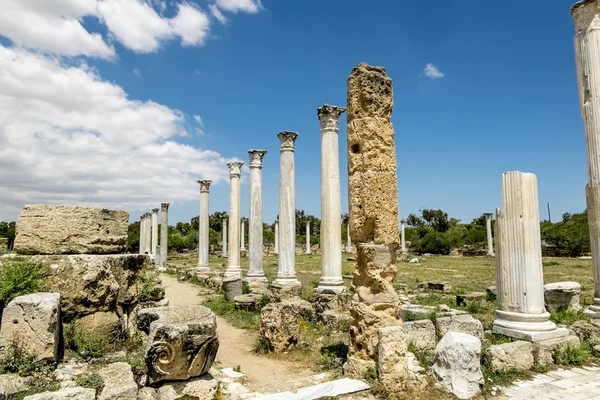 Ruinas y columnas antiguas en la antigua ciudad de Salamis en Fama — Foto de Stock