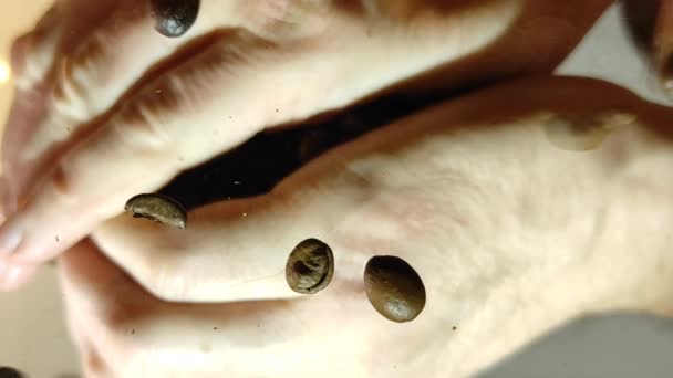 Biji kopi yang dituangkan dari mens telapak tangan — Stok Video