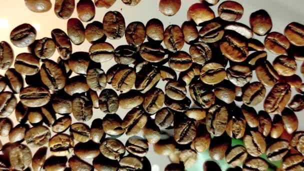 Os grãos de café vazam-se de uma bolsa em uma mesa transparente de vidro. — Vídeo de Stock