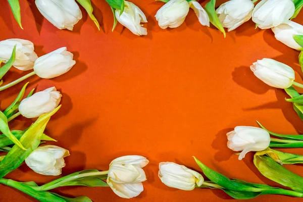 Mooie Tulpen Zijn Gelegd Een Frame Een Oranje Achtergrond Bovenaanzicht Stockafbeelding