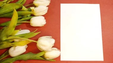 Bir buket güzel lale ve turuncu arka plan manzaralı bir kağıt. Anneler Günü 'nün arka planı, Uluslararası Kadınlar Günü. 4K görüntülerini durdurun..