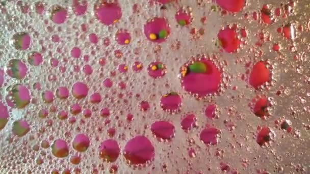 Burbujas de espuma multicolor en movimiento caótico en la superficie del líquido. — Vídeo de stock