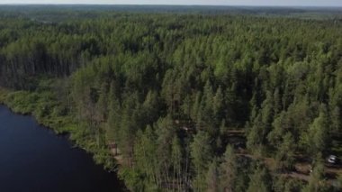 Rusya 'daki Karelia' daki göl ve ormanların üzerinden uçmak.