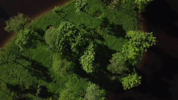 在彼得霍夫卢戈维茨公园池塘的上空飞行. — 图库视频影像