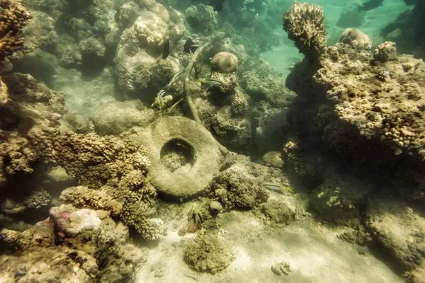 Vuil op de bodem van de rode zee koralen in Egypte — Stockfoto