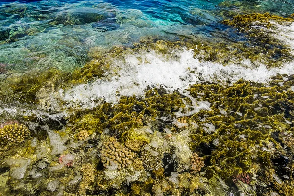 De golven roll op een koraal rif in de rode zee, Egypte — Stockfoto