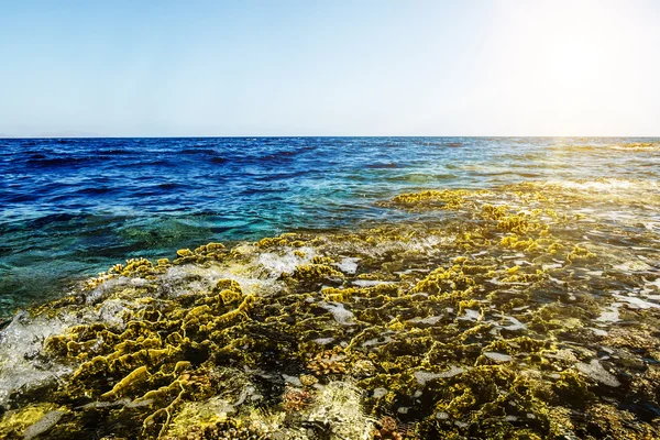De golven roll op een koraal rif in de rode zee Egypte bij dageraad — Stockfoto