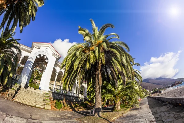 De colonnade en de kade in Gagra, Abchazië, Kaukasus — Stockfoto