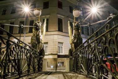 Griffin yakasında griboyedov kanal gece hasta köprü.