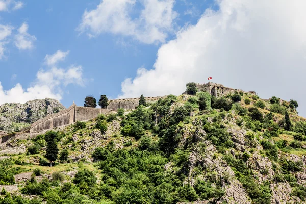 Pohled na hradby a pohoří v staré město Kotor — Stock fotografie