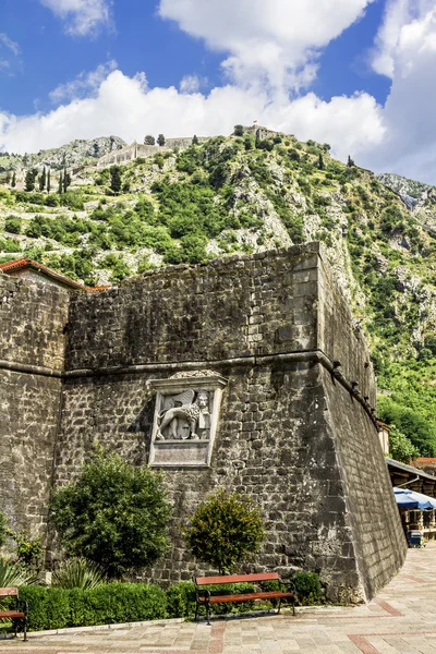 Pohled na hradby a pohoří v staré město Kotor — Stock fotografie