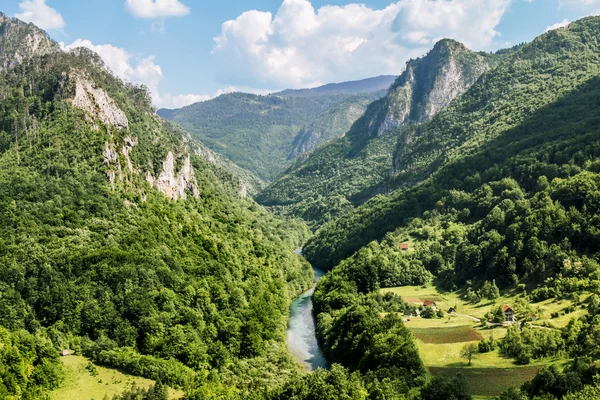 Kilátás a Tara folyó Canyon, Montenegróban — Stock Fotó