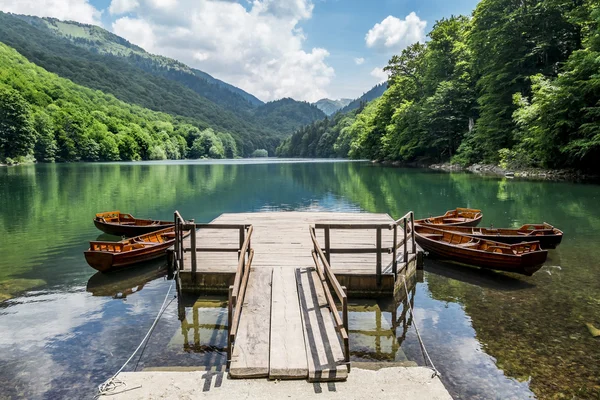 Boats on Biogradska Lake in  National Park Biogradska Gora — Stock Photo, Image