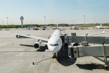 Uçak Pulkovo.Russia havaalanında biniş rampası ile.