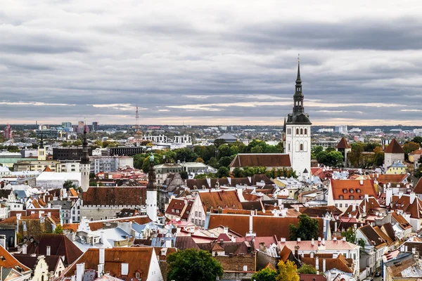 Cathedral St Olaf eski Talli içinde üstten görünüm — Stok fotoğraf