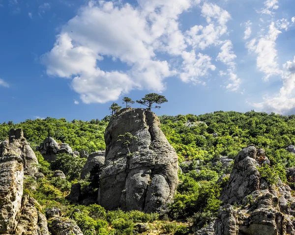 Bizarre rock formations on the plateau Demerdzhi in Crimea . — Stock Photo, Image