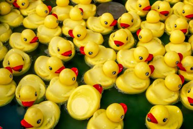 Sarı Plastik ördek havuzu görünümünü
