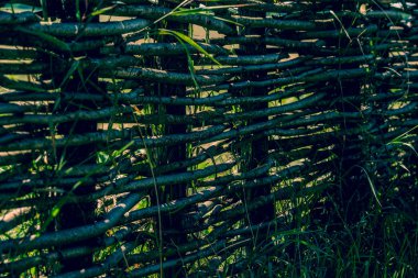 Asmadan çit hasarı, doku, arka plan. Hasır asma çiti. Örülmüş asma dokusu kabartmalı arka plan. Organik dokuma hasır çit.