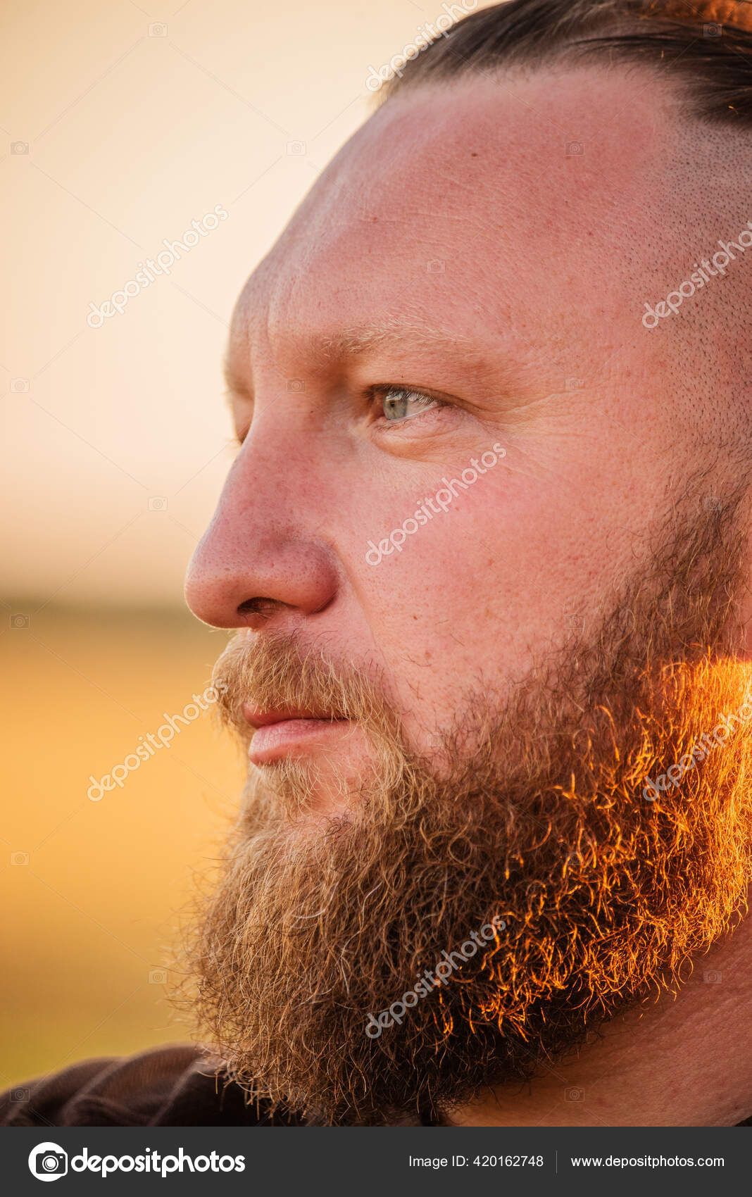 Hipster Style Bearded Man Attractive Man Blonde Long Hair European Stock  Photo by ©kapinosova 420162748