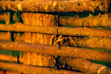 Asmadan çit hasarı, doku, arka plan. Hasır asma çiti. Örülmüş asma dokusu kabartmalı arka plan. Organik dokuma hasır çit.