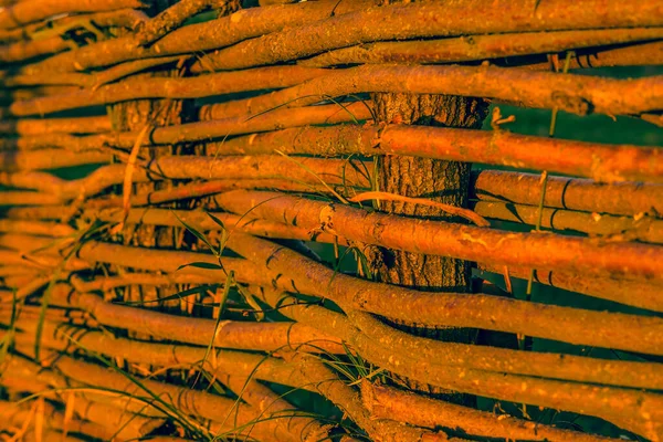 Stängsel Korgar Från Vinstockar Konsistens Bakgrund Tjockare Vinstängsel Vävda Vinstockar — Stockfoto