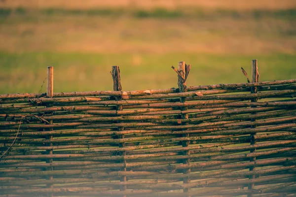 Răchită Gard Din Viță Vie Textură Fundal Gard Viţă Vie — Fotografie, imagine de stoc