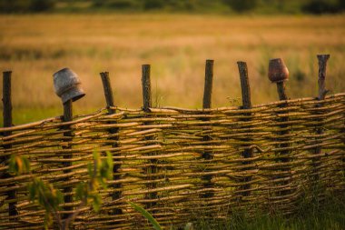 Asmadan çit hasarı, doku, arka plan. Hasır asma çiti. Örülmüş asma dokusu kabartmalı arka plan. Organik dokuma hasır çit.