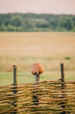 Asmadan çit hasarı, doku, arka plan. Hasır asma çiti. Örülmüş asma dokusu kabartmalı arka plan. Organik dokuma hasır çit.