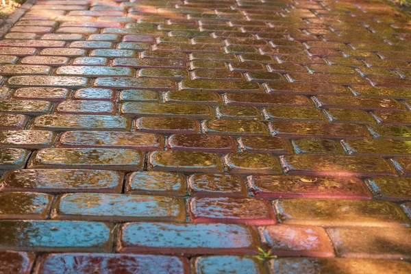 Roze Plaveisel Regen Voor Achtergrond Natte Rode Plavuizen Regen Textuur — Stockfoto