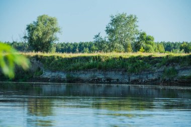 Nehir ve ağaçlar. Parlak mavi gökyüzü olan yaz nehri. Yaz tatili doğası