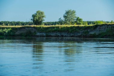 Nehir ve ağaçlar. Parlak mavi gökyüzü olan yaz nehri. Yaz tatili doğası