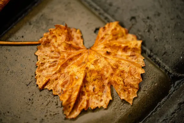 濡れた葉 歩道には秋の紅葉 黄金の秋 — ストック写真