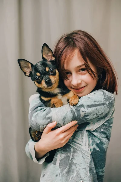 Adorabile Bambina Che Tiene Piedi Cucciolo Chihuahua Ragazza Che Tiene — Foto Stock