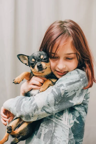 Entzückendes Kleines Mädchen Mit Chihuahua Welpen Stehen Mädchen Mit Chihuahua — Stockfoto