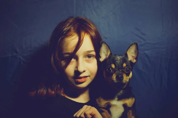 Young Girl Pet Dog Year Old School Girl Chihuahua Portrait — Stock Photo, Image