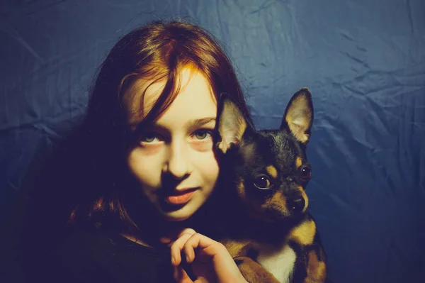 带着宠物狗的小女孩一个带着吉娃娃的9或10岁的女学生一个女孩养漂亮狗的肖像 一个带着吉娃娃的小女孩 抱着吉娃娃的女孩 抱着宠物的女孩 — 图库照片