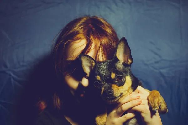 Rapariga Com Cão Estimação Uma Menina Anos Com Chihuahua Retrato — Fotografia de Stock