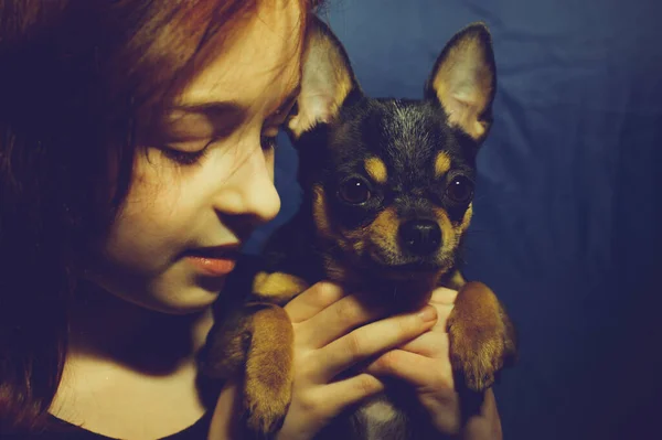 Ung Flicka Med Hund Årig Skolflicka Med Chihuahua Ett Porträtt — Stockfoto